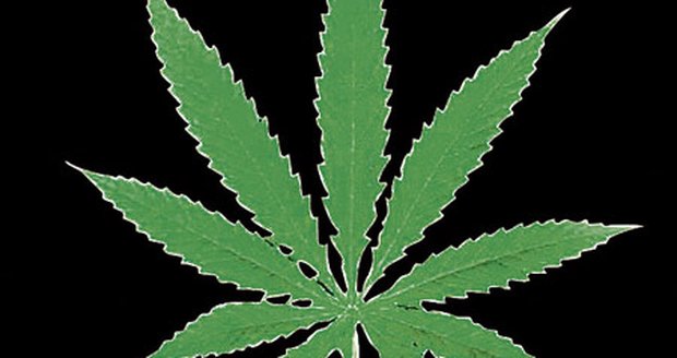 Marihuana