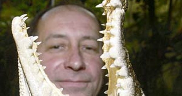 Ředitel plzeňské zoo Jiří Trávníček ukazuje jednoho ze samců vzácného krokodýla siamského