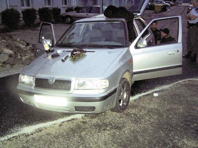 Tuto felicii chtěli mladíci ukrást