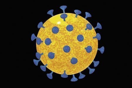Virus HIV