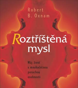 Roztříštěná mysl