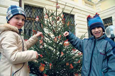 Barunka Eimannová (6) a Pavel Šupík (6) z Loun u svého stromku