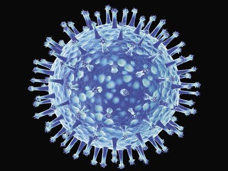 Smrtící virus ptačí chřipky H5N1