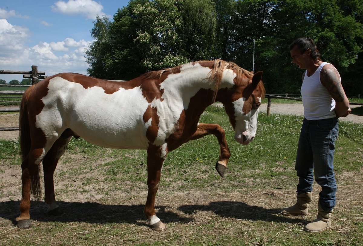 Farmář hledá ženu