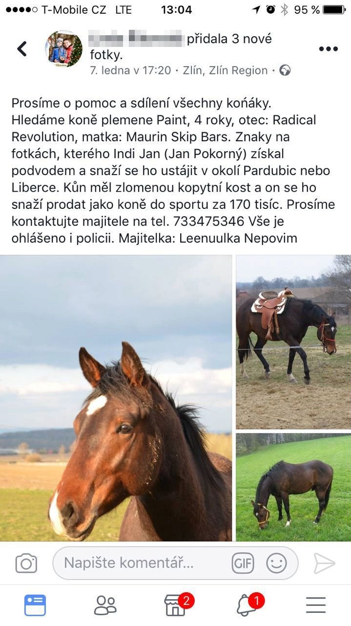 Indián podvodně kšeftoval s koňmi.