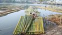Plavení bambusu