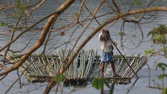 Voroplavba po indicku. Podívejte se, jak bambus putuje desítky kilometrů po řece