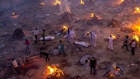 Začátek hromadných kremací, Nové Dillí, Indie