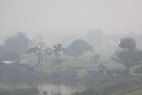 „Dýcháme v podstatě kouř.“ Dillí zahalil smog, v indické metropoli zavřou školy