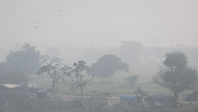 „Dýcháme v podstatě kouř.“ Dillí zahalil smog, v indické metropoli zavřou školy