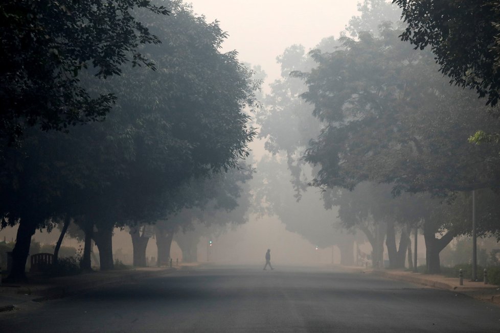 Indická metropole Dillí v oblaku smogu.