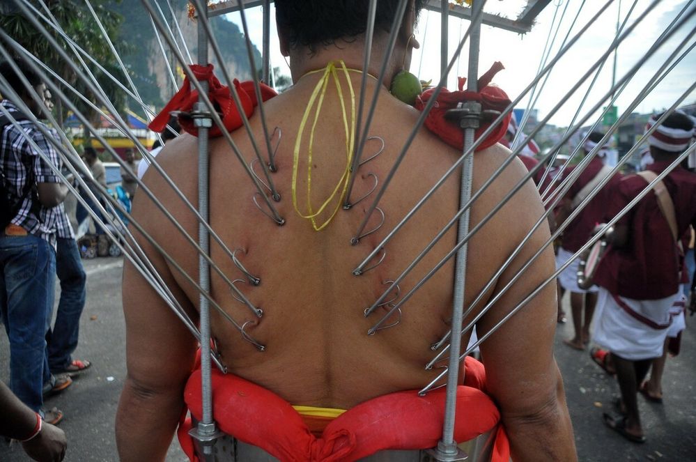 Piercing zad během Thaipusamu 