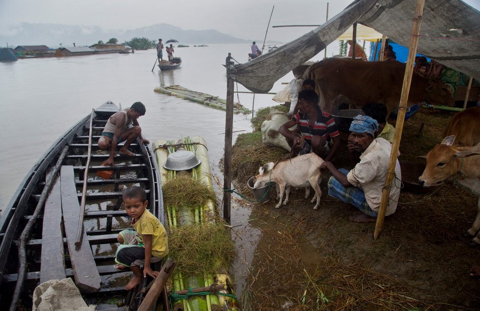 Přímo zasaženo důsledky povodní a sesuvů půdy bylo v Indii 4,5 milionu lidí, z toho 1,5 milionu muselo opustit domovy.