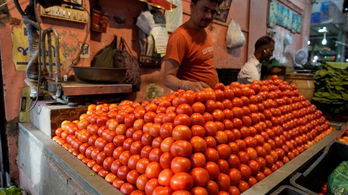 Prodejce zeleniny aranžuje rajčata na trhu v Ahmedabadu v Indii.