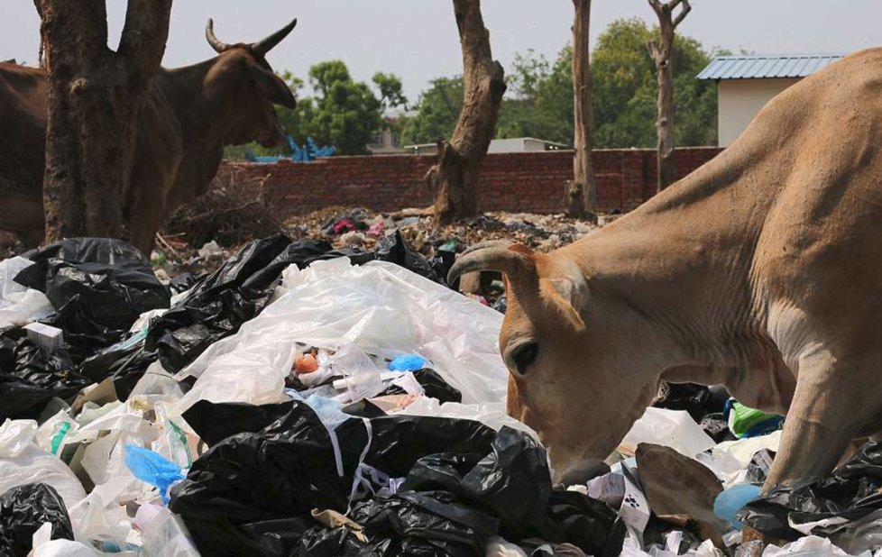 Indický slum se ztrácí pod nánosy plastů.