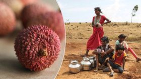100 dětí zabilo toxické ovoce. Dalších 78 lidí zemřelo kvůli extrémnímu vedru v Indii