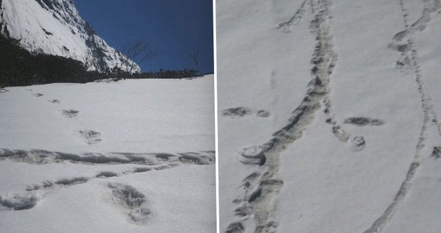 Našli jsme stopy yettiho, chlubí se Indové a zveřejnili fotky. Místo údivu přišel posměch