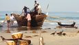 Na rybách v městečku Varkala na jihu Indie