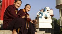 Buddhistický komplex Namdroling: Malý Tibet v jižní Indii