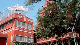 Ptačí nemocnice v indickém Dillí funguje ze sponzorských darů už více než půl století