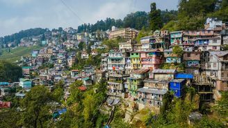 Čajový Darjeeling