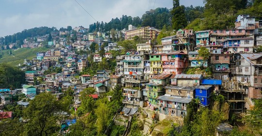 Čajový Darjeeling