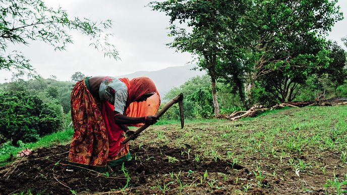 Ženy z kmenů Ádivásí pečují o dům i rodinu a také o pole, kde si rodiny pěstují živobytí
