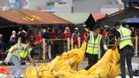 Při pátrání po obětech havárie letadla společnosti Lion Air v Jávském moři zemřel jeden z potápěčů.