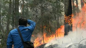 Indonésii pravidelně sužují požáry. Zakládané úmyslně kvůli plochám pro plantáže palmy olejné.