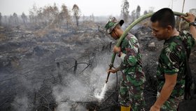 Obří požáry v Indonésii nevznikly náhodou. Kvůli vypalování půdy a plantážím palmy olejné.