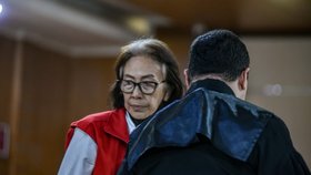 Lie Siu Luan (70) vedla gang překupníků dětí.
