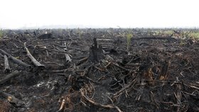 Indonésii sužují požáry, zemětřesení i erupce sopky.