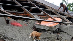 Po zemětřesení a tsunami na indonéském ostrově Sulawesi je nejméně 1650 mrtvých. (6.10.2018)