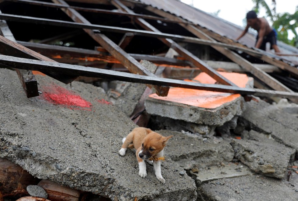Po zemětřesení a tsunami na indonéském ostrově Sulawesi bylo minulý rok nejméně 1650 mrtvých. (6.10.2018)