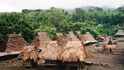 Živé skanzeny Indonésie: Návštěva tradičních vesniček na ostrovech Sumbawa a Flores
