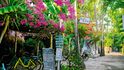 Při toulkách po ostrově: rozkvetlé zahrady, útulné zenové kavárny a usměvaví místní