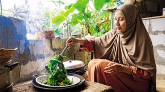 Jídlo jávského venkova: kde zelenina roste na stromech Jídlo jávského venkova: kde zelenina roste na stromech