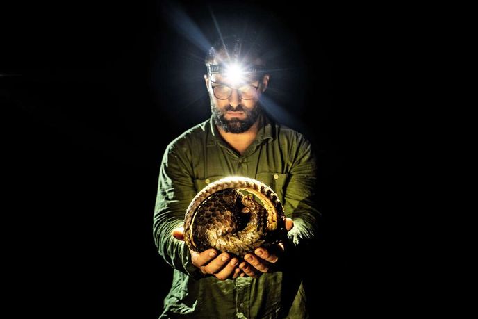 Tomáš s prvním luskounem, kterého jsme po několika týdnech pátrání objevili ve volné přírodě Tomáš s prvním luskounem, kterého jsme po několika týdnech pátrání objevili ve volné přírodě