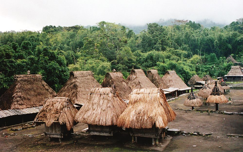 Živé skanzeny Indonésie: Návštěva tradičních vesniček na ostrovech Sumbawa a Flores