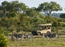 Ineos Grenadier Safari