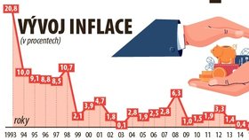 Přehledně: Inflace v Česku