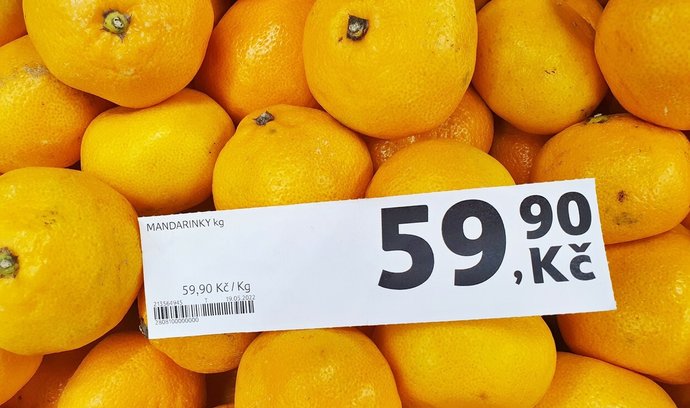 Meziroční inflace v ČR v červenci zrychlila na 17,5 procenta.
