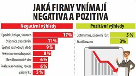 Infografika - Jaká firmy vnímají negativa a pozitiva