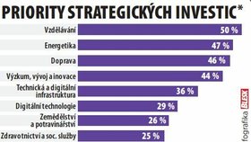 Infografika - Priority strategických investic
