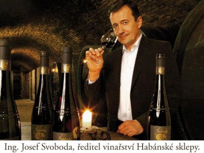 Ing. Josef Svoboda, ředitel vinařství Habánské sklepy