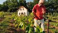Ing. Lubomír Lampíř, Ph.D. se snaží své zkušenosti předat dál, učí vinohradnictví na České zemědělské univerzitě v Praze-Suchdole