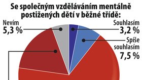 Souhlasíte se společným vzděláváním dětí?