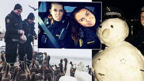 Islandští policisté vědí, co je legrace.