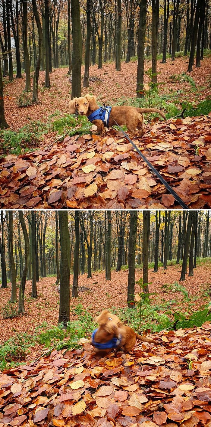 Instagram vs realita: Lidé na sociálních sítích sdílí, co ve skutečnosti stojí za dokonalými fotkami