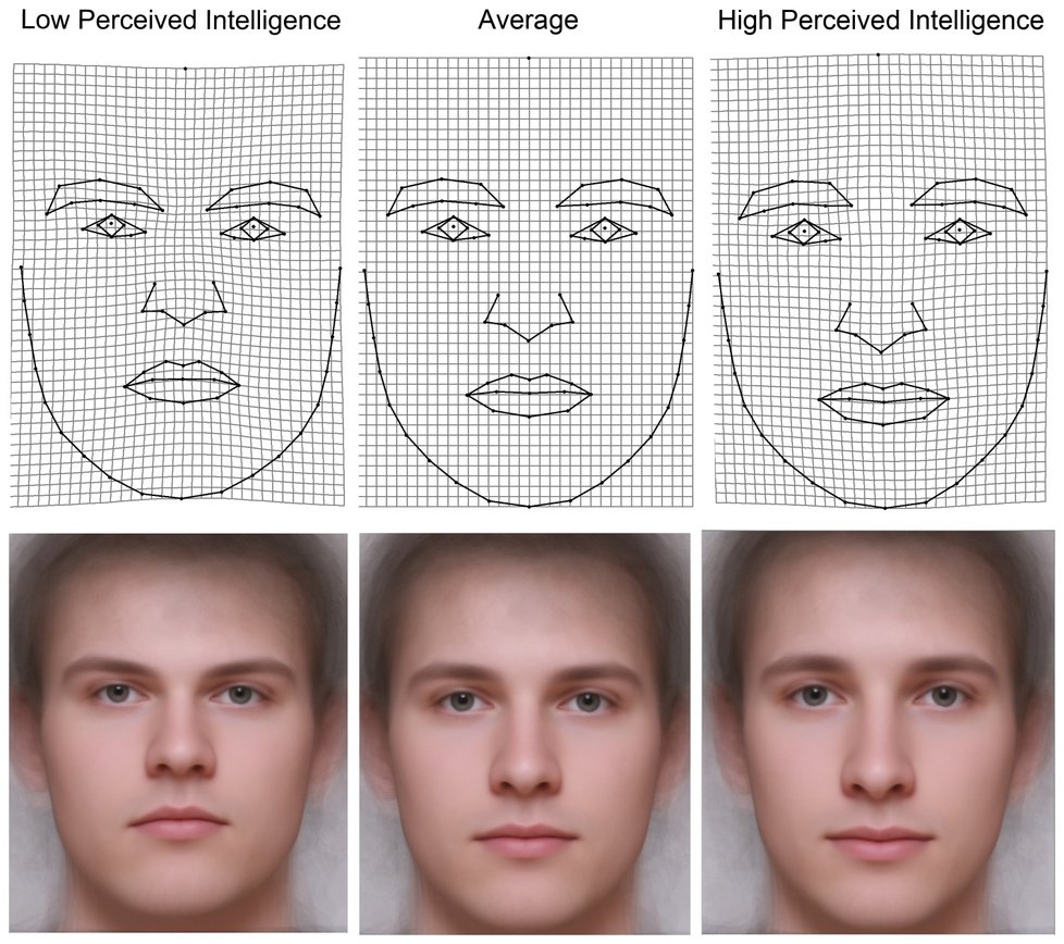 Tváře vnímané jako inteligentní, mají delší obličej a oči dál od sebe.